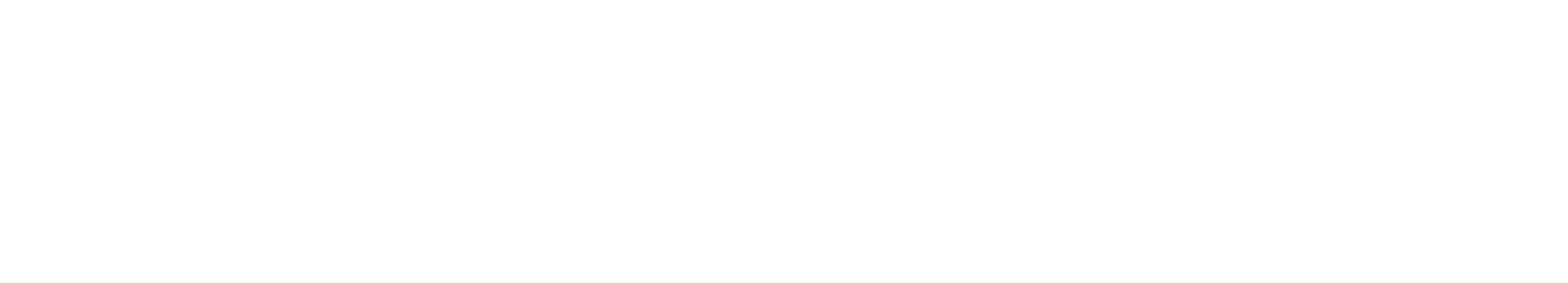 White image of EcoVadis logo 